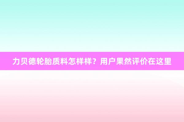 力贝德轮胎质料怎样样？用户果然评价在这里
